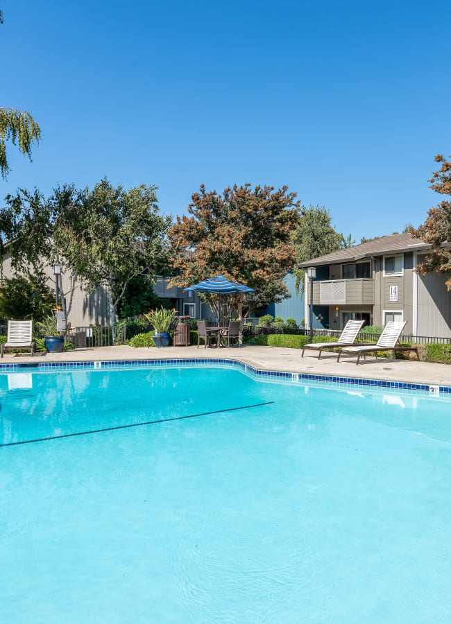 Beautiful swimming pool at dusk at Shadow Oaks Apartment Homes in Cupertino, California