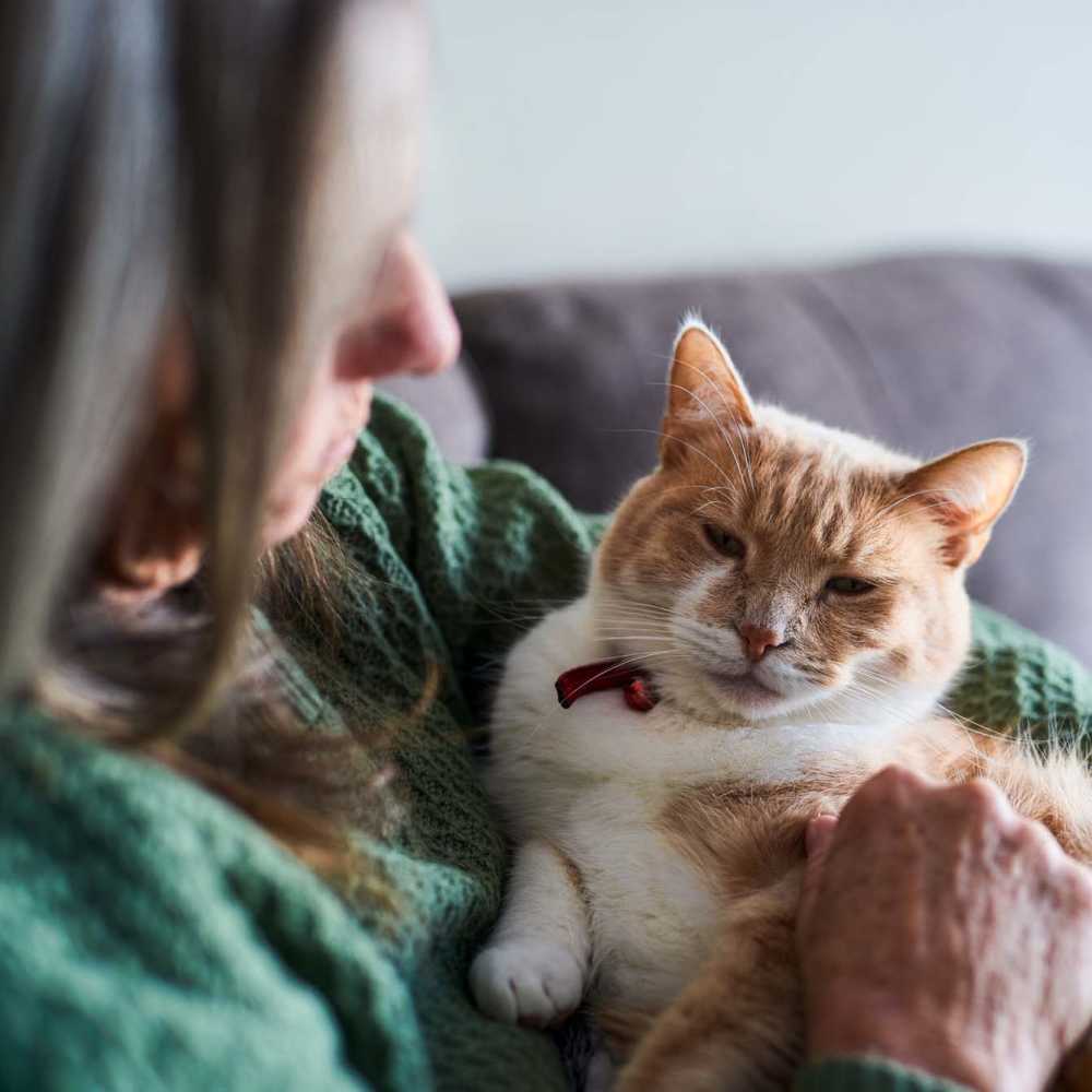 Resident petting her cat at The Cascalote in Glendale, Arizona