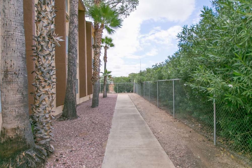 Bucolic exterior with path and palm trees at Sherwood Village Assisted Living & Memory Care in Tucson, Arizona