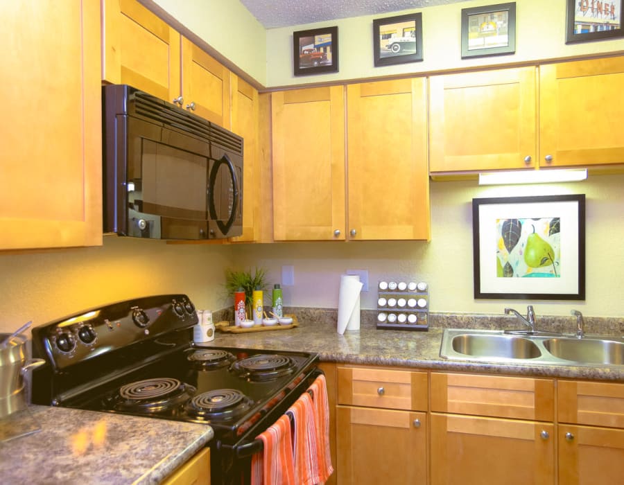 Granite countertops, sleek black appliances, and a dual-basin sink in a model home at Signal Pointe Apartment Homes in Winter Park, Florida