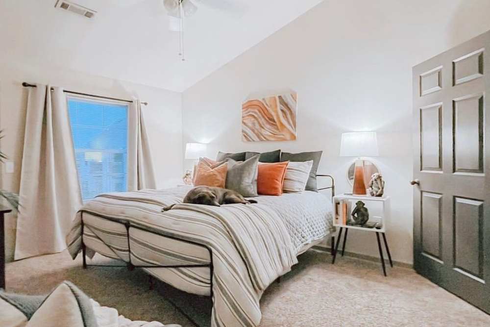 Cozy bedroom with dog sleeping on the bed at The Landing at Fayetteville in Fayetteville, Arkansas