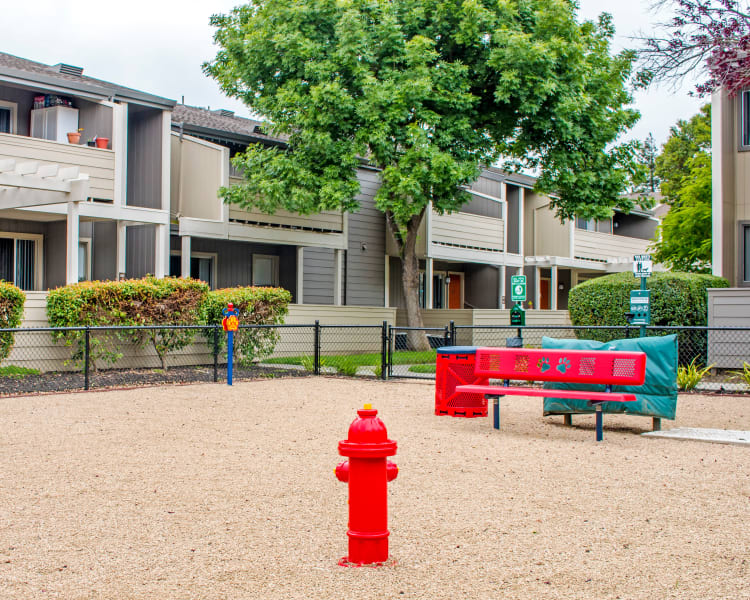Onsite bark park at Sofi Dublin in Dublin, California