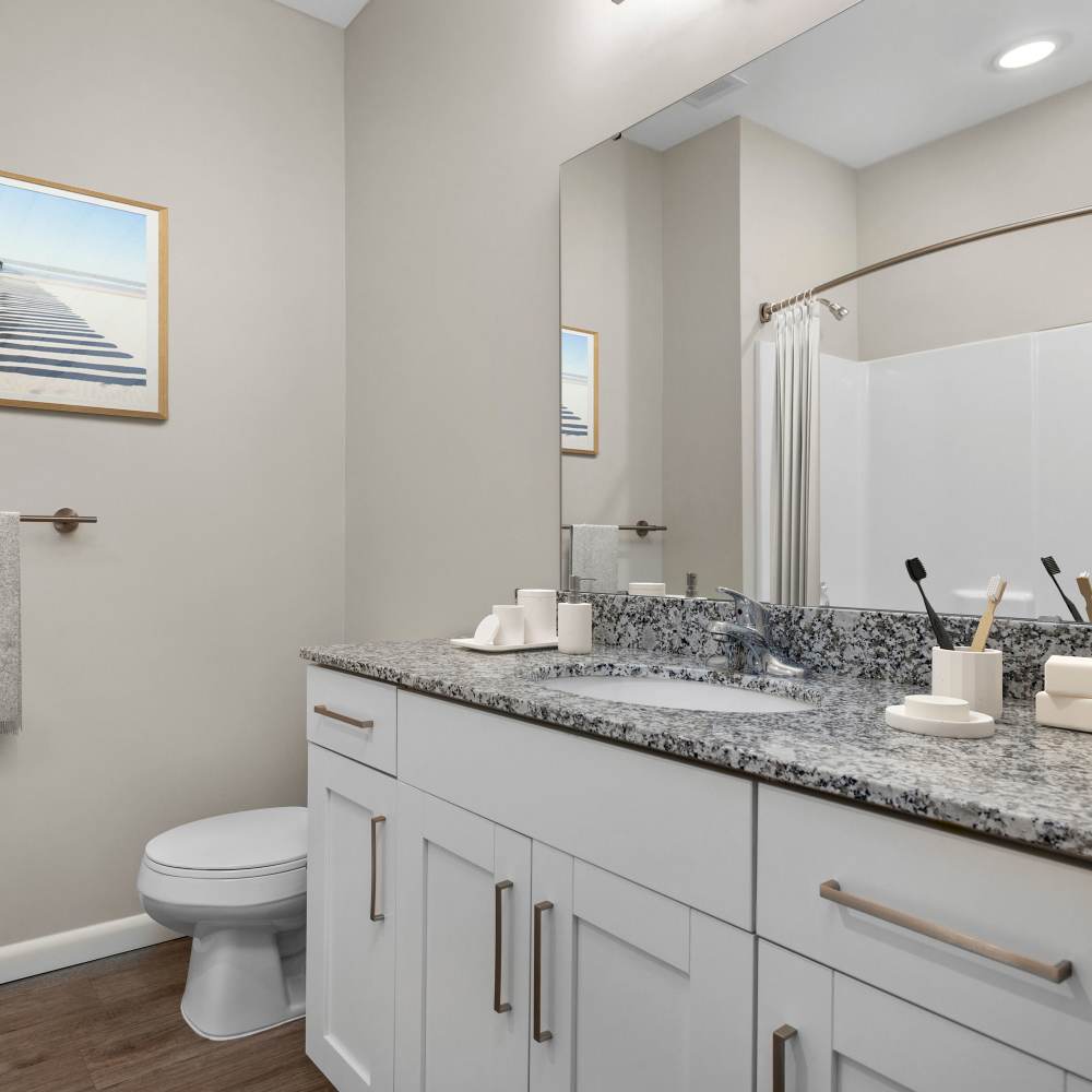 Bathroom with a toilet and a large mirror at Citrine at Lake St. Louis in Lake Saint Louis, Missouri