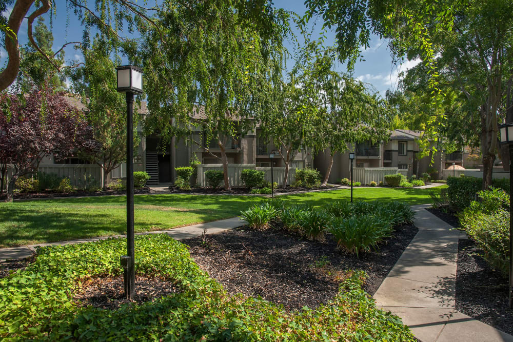 Beautiful landscaped location at Valley Ridge Apartment Homes in Martinez, California