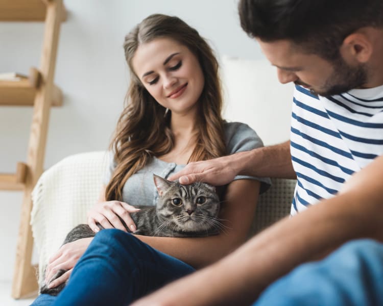 Resident couple petting their cat in their apartment at Canyon View in Las Vegas, Nevada