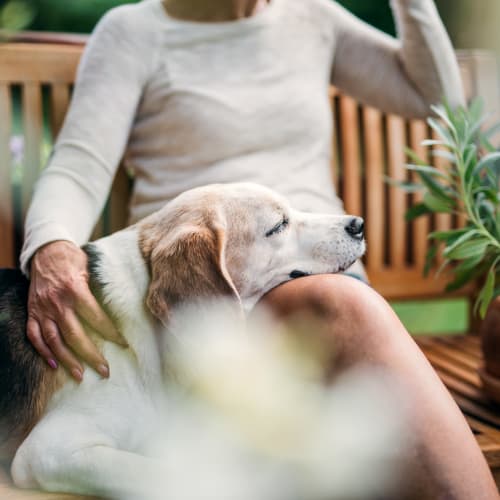 A resident and her canine friend relax on the porch at The Crossings at Eastchase in Montgomery, Alabama