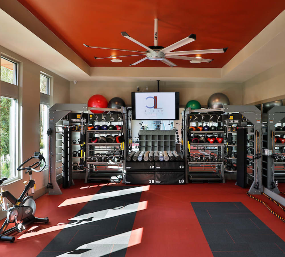 Fitness center at Luxor Club in Jacksonville, Florida