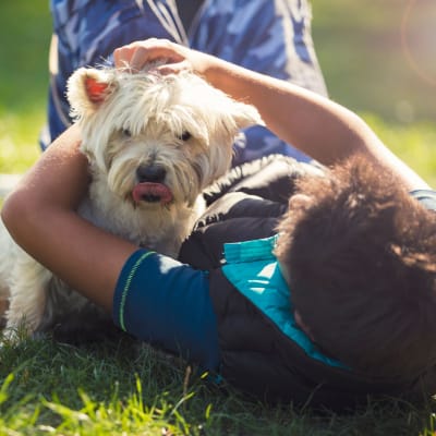 A boy playing with a dog at Pacific View in Oceanside, California