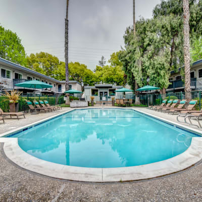 Resort-style swimming pool at Sofi at Los Gatos Creek in San Jose, California