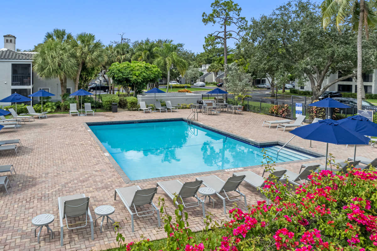 Aerial view of swimming pool at Stella Boca Raton Apartments, Boca Raton, Florida