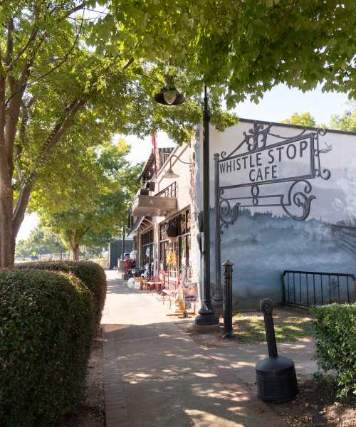 Boutique shops in the neighborhood near The Standard at Pinestone in Travelers Rest, South Carolina