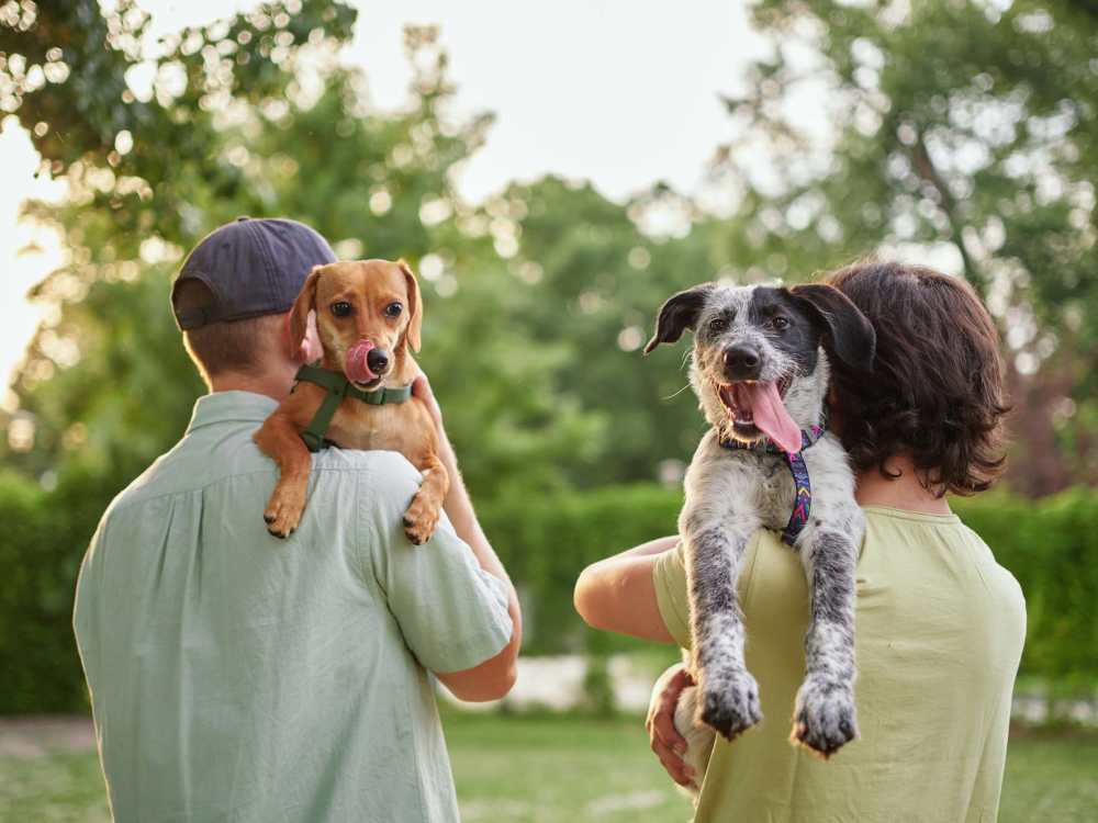 Residents holding dogs near Central Park Place in Grand Rapids, Michigan 