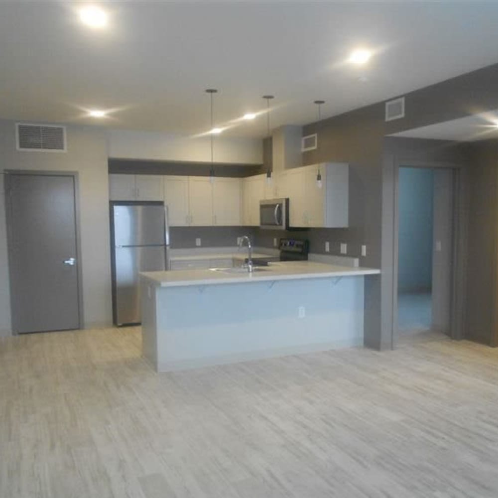  kitchen with high-end touches like wood-style flooring at Leo and Alpine in Grand Rapids, Michigan