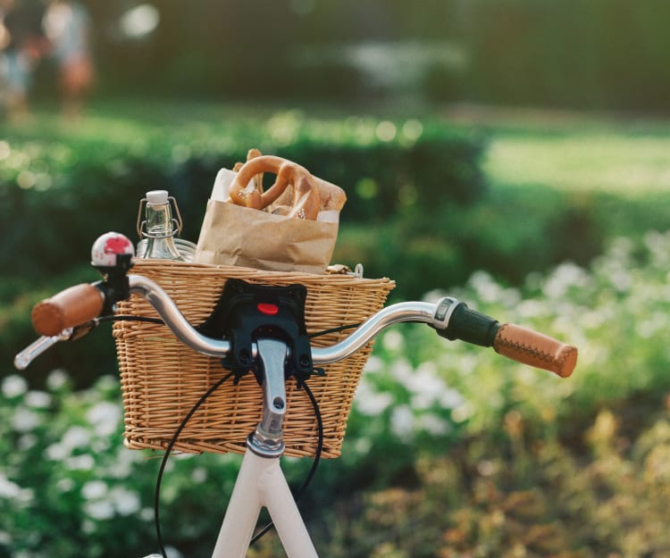 Bike with a basket filled with goodies at Carrington Apartments in Fremont, California