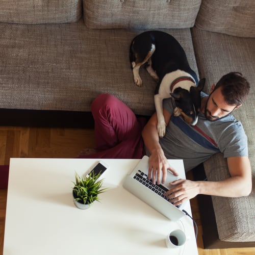 A resident working on computer with his dog at Castle Acres in Norfolk, Virginia