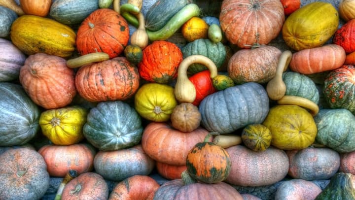 An array of colorful pumpkins at Hall