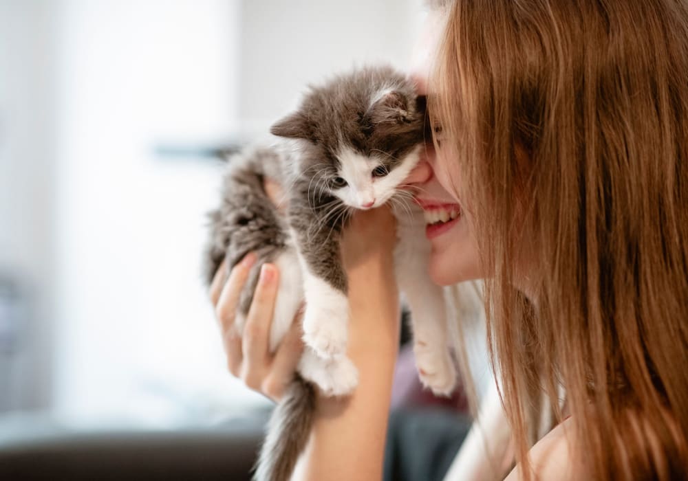Resident and her kitten loving their new home at The Villa at Marina Harbor in Marina del Rey, California