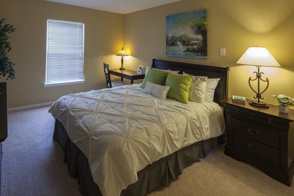 Independent Living Novi Mi Waltonwood Twelve Oaks