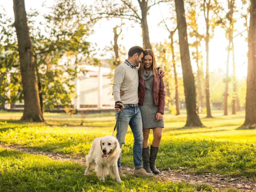 Couple taking their dog for a stroll through the neighborhood at Woodbury Knoll in Woodbury, Connecticut