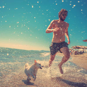 Man running on beach with his dog near Jefferson Westshore in Tampa, Florida