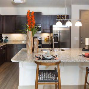Richardson Tx Luxury Apartments For Rent Estates Of Richardson
