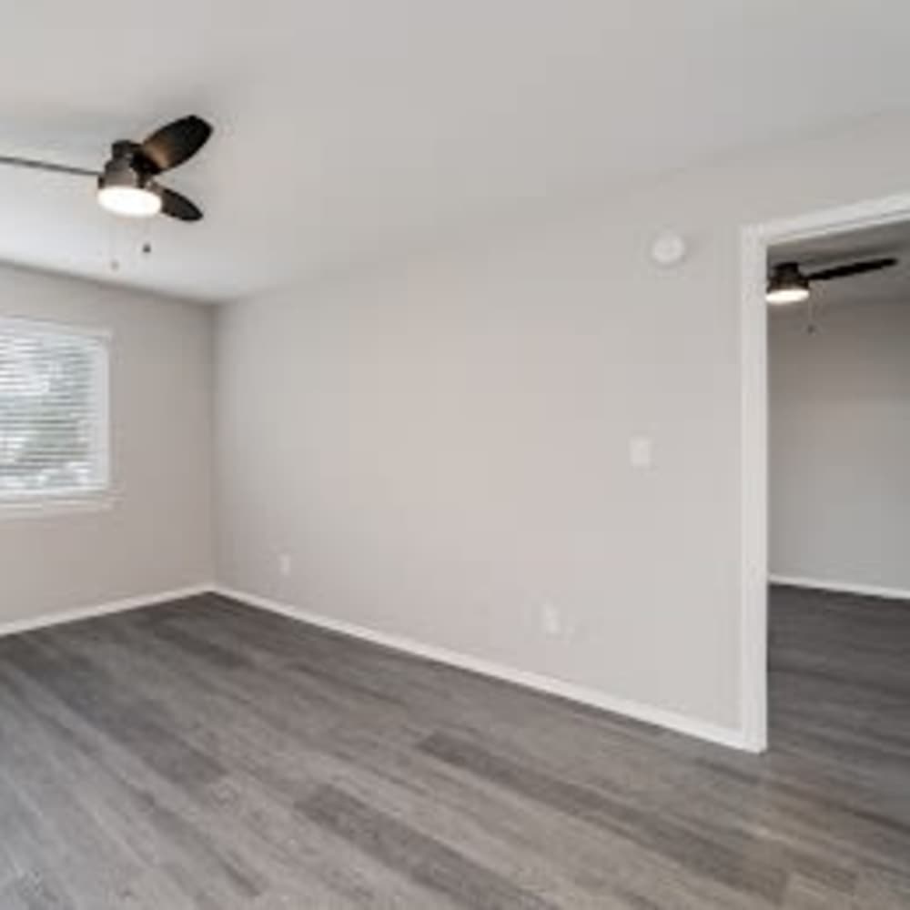 Unfurnished bedroom with walk-in closet at Sweetbay in Chattanooga, Tennessee