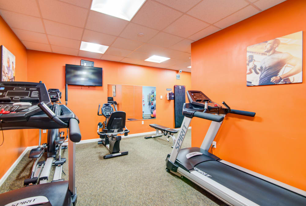 Fitness center at Nieuw Amsterdam Apartment Homes in Marlton, NJ