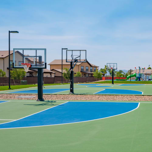 Basketball courts at Mountain View in Fallon, Nevada