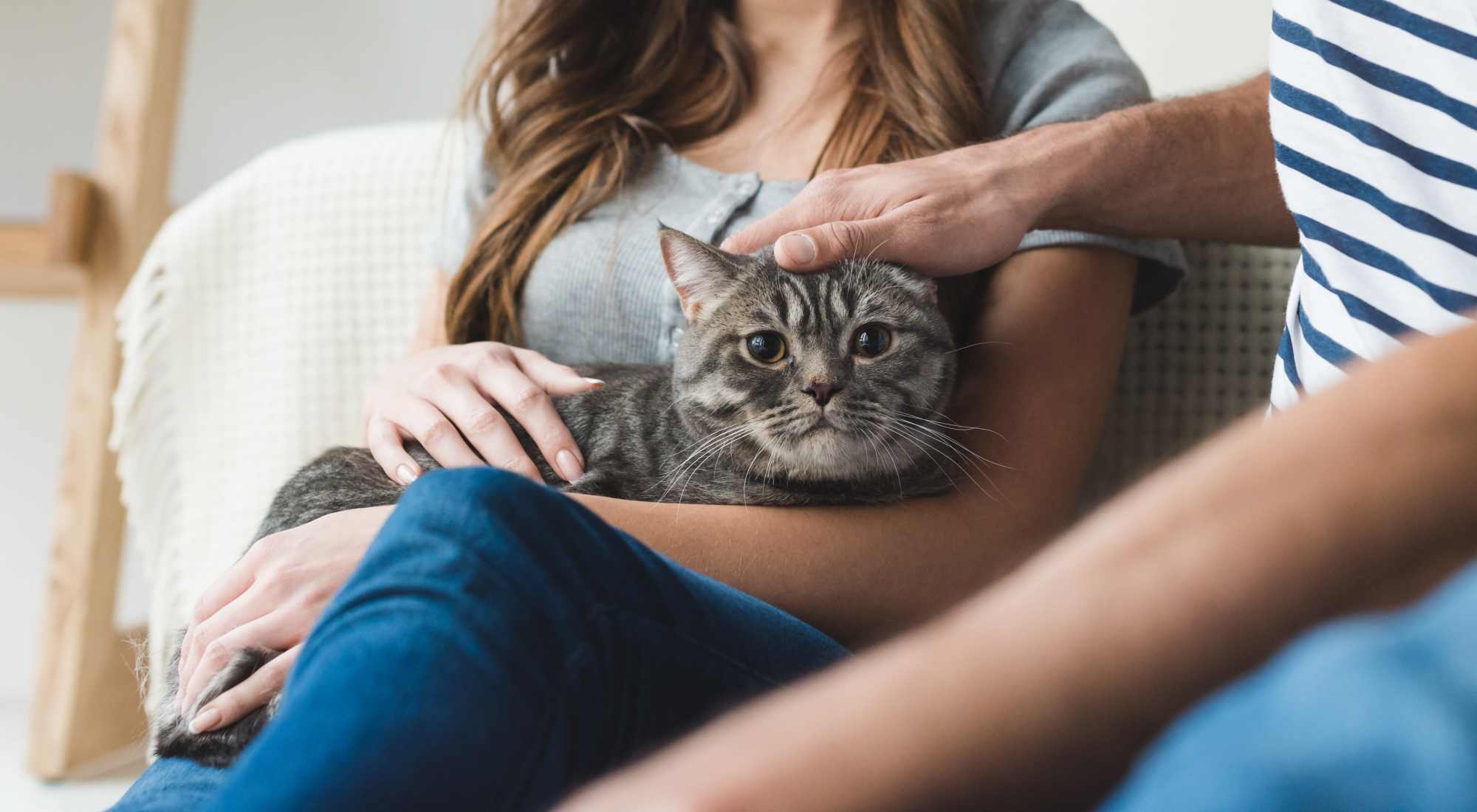 Pet Friendly | Park Avenue at Boulder Creek in Houston, Texas