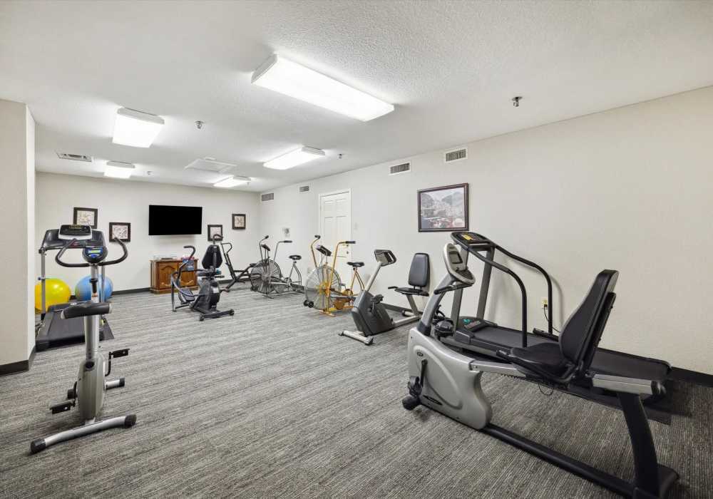 Amenities at Treemont Senior Community in Houston, Texas