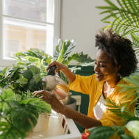 A woman with thriving plants in her home at Georgia West in Silver Spring, Maryland