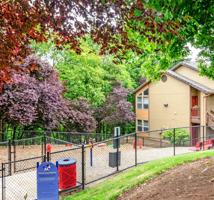 Onsite dog park at Sofi Lake Oswego in Lake Oswego, Oregon