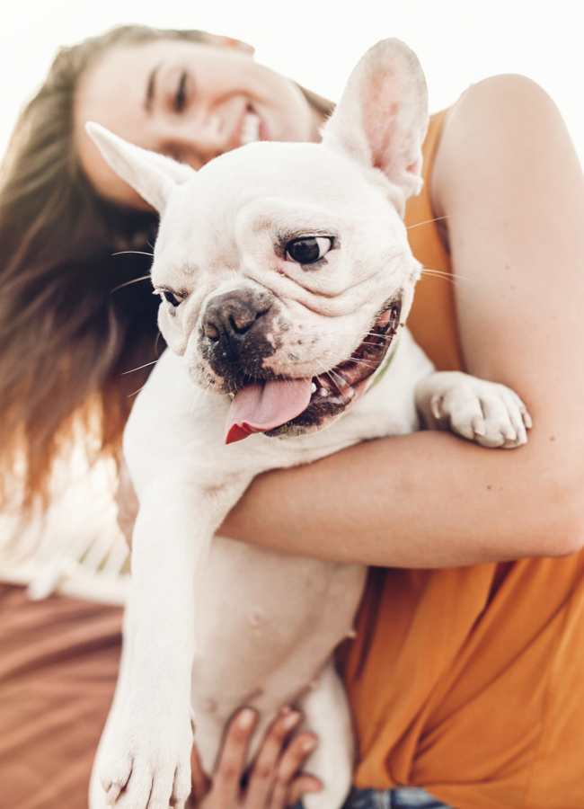 Pet friendly at Corner on Main in Jacksonville, Florida