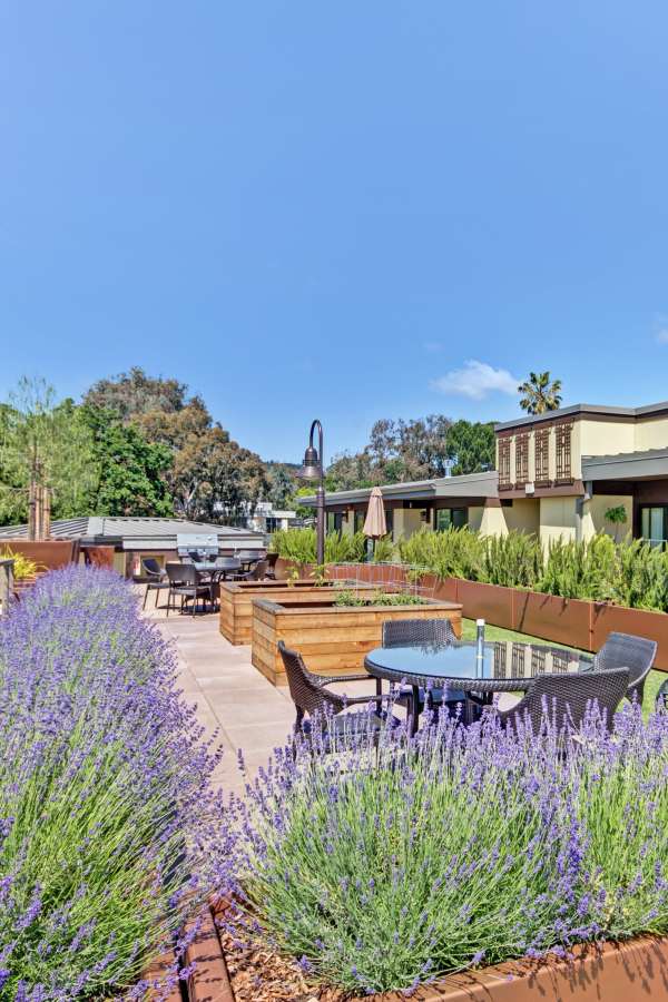 Rooftop deck with lavendar and outdoor seating and tables at Merrill Gardens at Lafayette in Lafayette, California