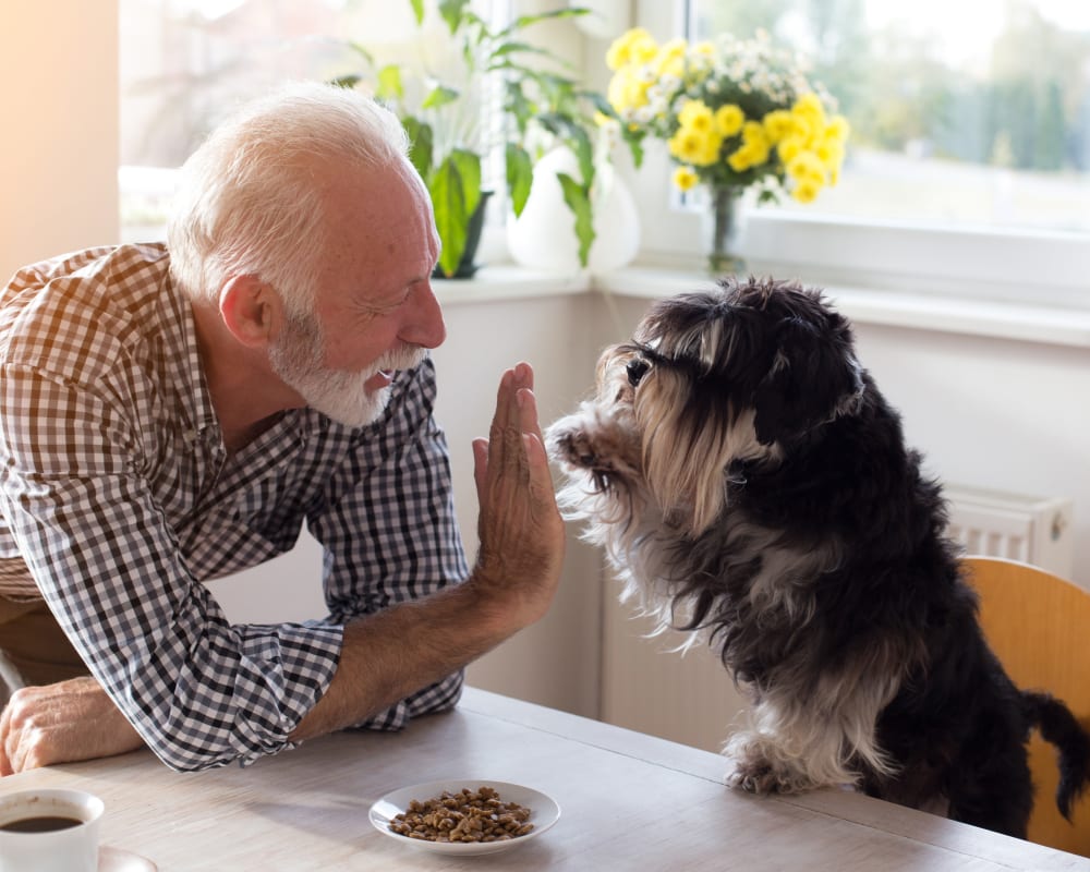RiverView Ridge is pet friendly in Rock Valley, Iowa.