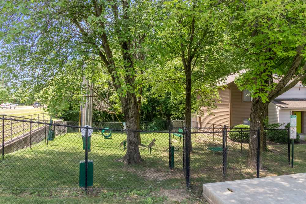 Fenced dog park