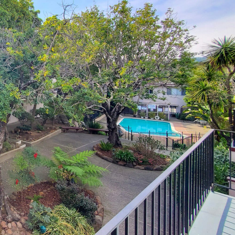 Mature trees surrounding the swimming pool area at Mission Rock at San Rafael in San Rafael, California