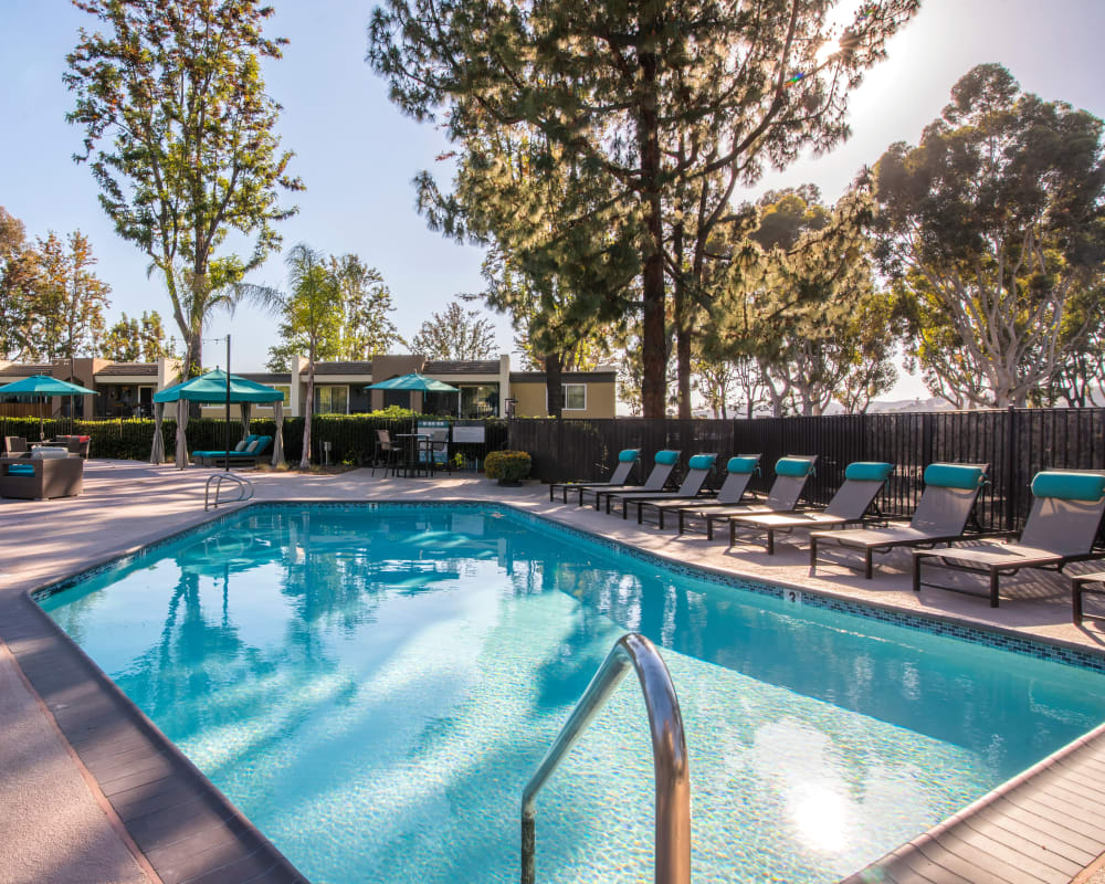 Sparkling swimming pool on another sunny morning at Sofi Poway in Poway, California