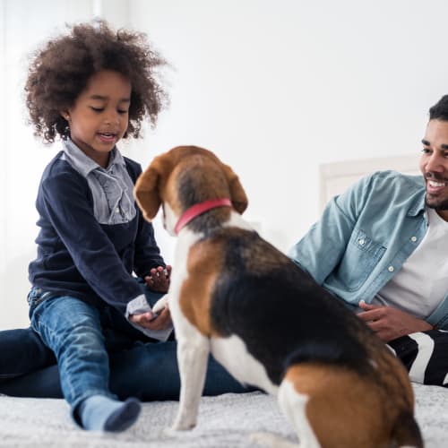 A kid playing with his dog at Ramona Vista in Ramona, California