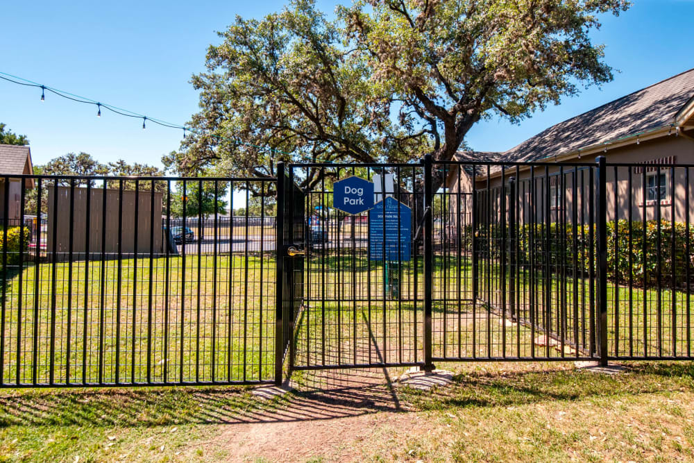 Onsite dog park at Sonterra Heights in San Antonio, Texas