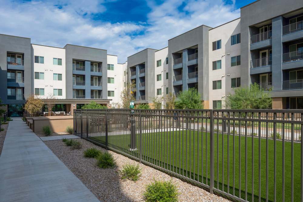 Courtyard and dog park at The Cascalote in Glendale, Arizona