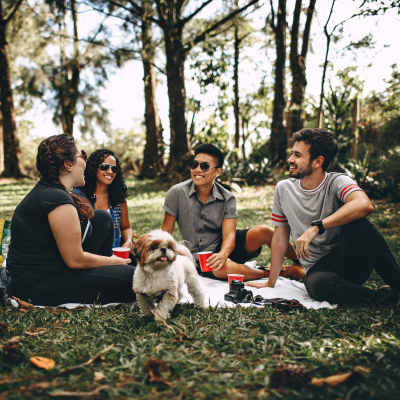 A group of friends having picnic time near Kildaire Reserve Apartments, Cary, North Carolina