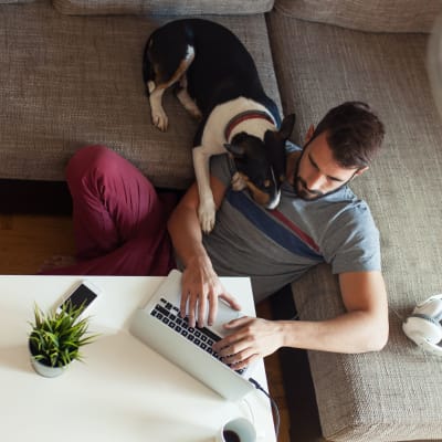 A dog resting his shoulder on a man at Willoughby Bay in Norfolk, Virginia