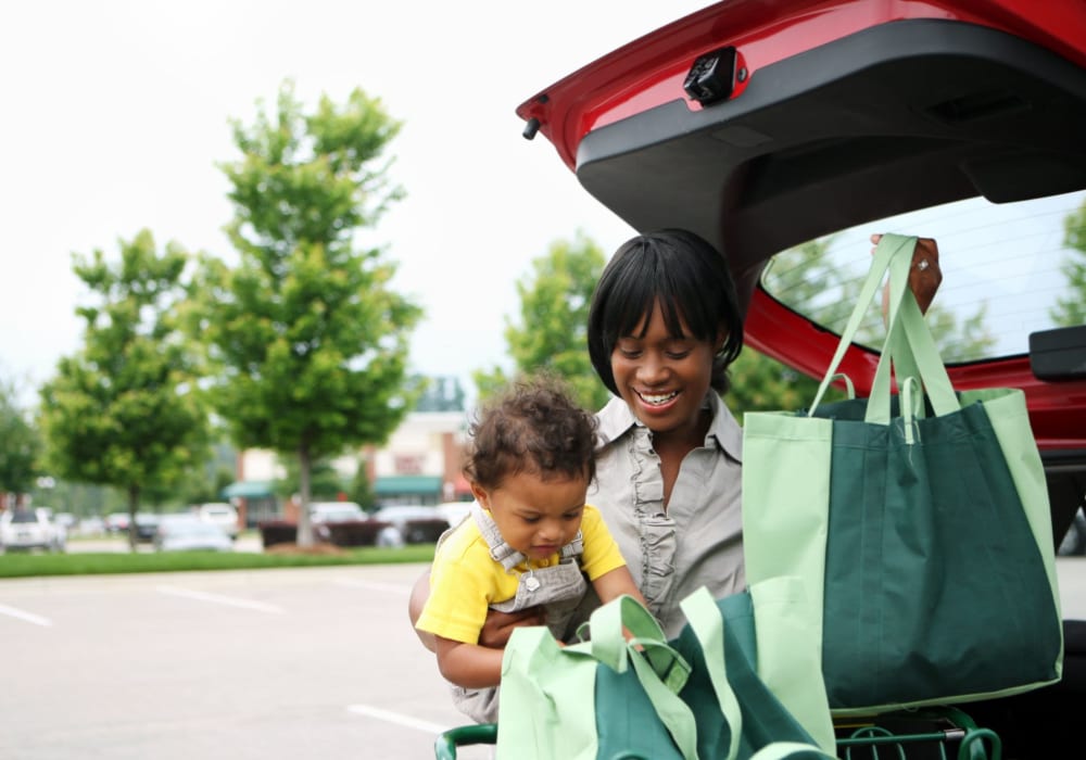 Bring the groceries home near 17 Barkley in Gaithersburg, Maryland