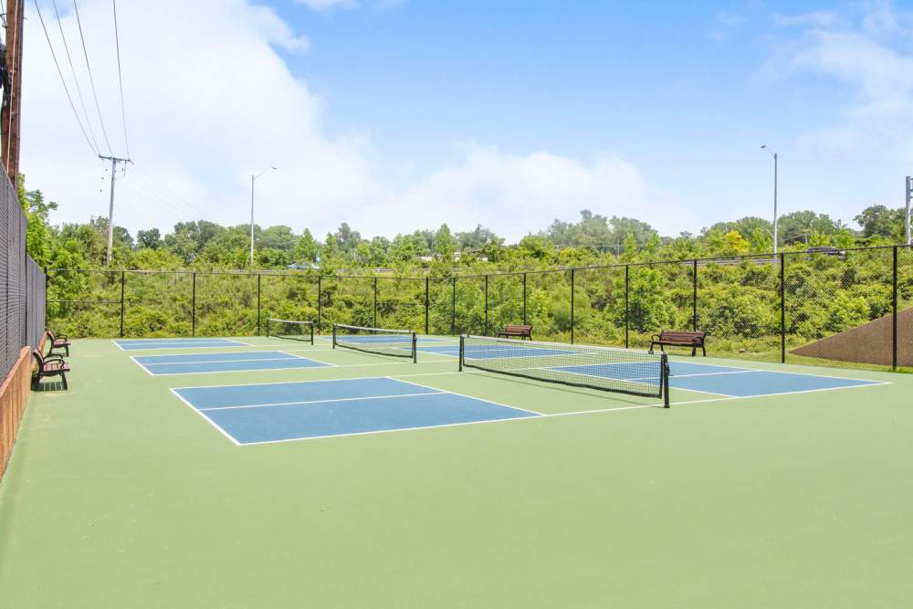 Newly Finished Pickleball Court at Ruxton Tower in Towson, Maryland