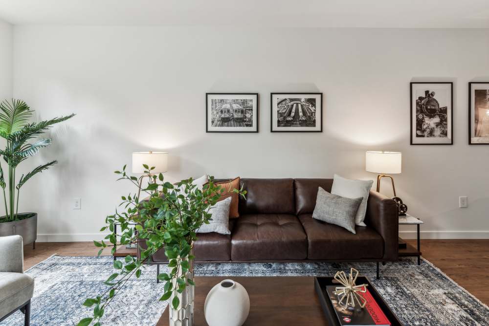 Large living rooms and window coverings at Traxx Apartments in Mountlake Terrace, Washington 