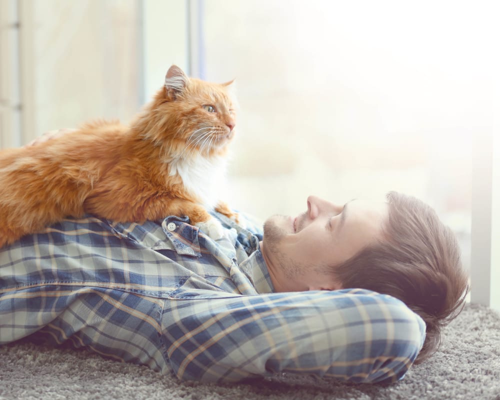 Resident and his cat relaxing in their new home at Sedona Ranch in Odessa, Texas