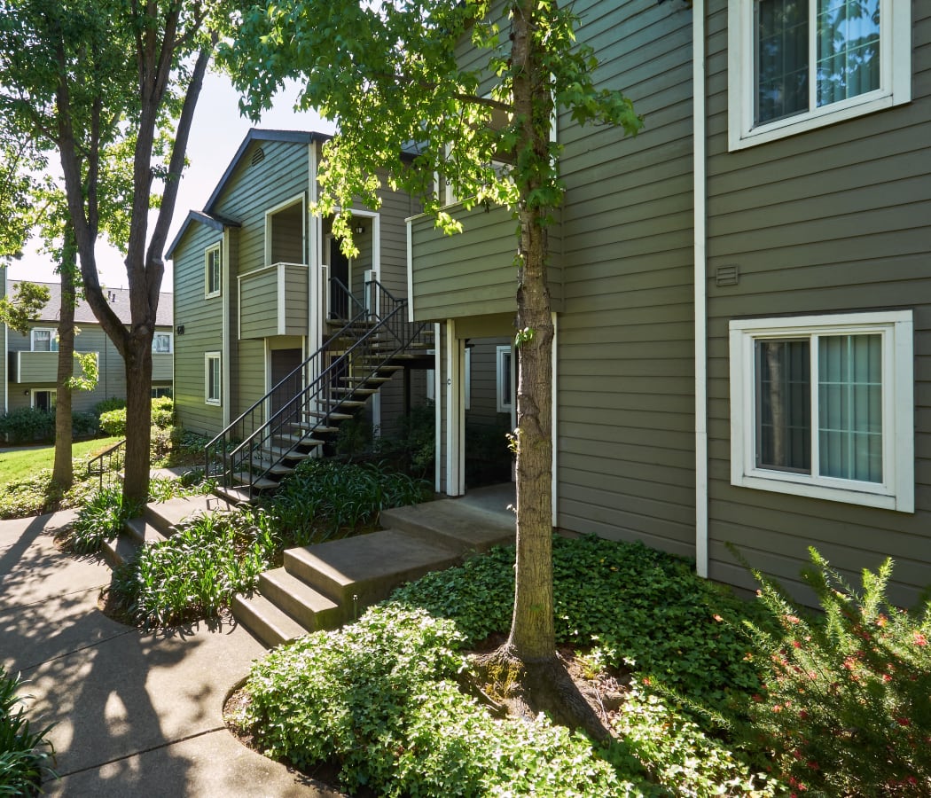 Beautiful exterior with a manicured landscape at Shadow Woods in Oakland, California