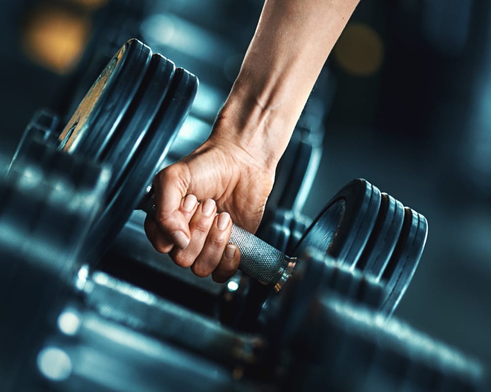 Free weights in the gym at Town Court