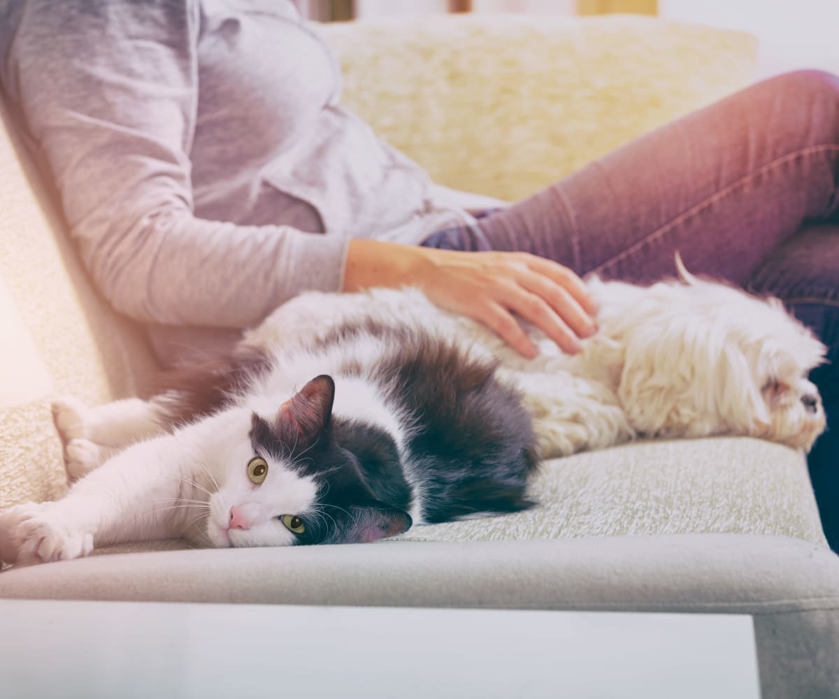 Resident and her pets loving their new home at The Greens of Bedford in Tulsa, Oklahoma